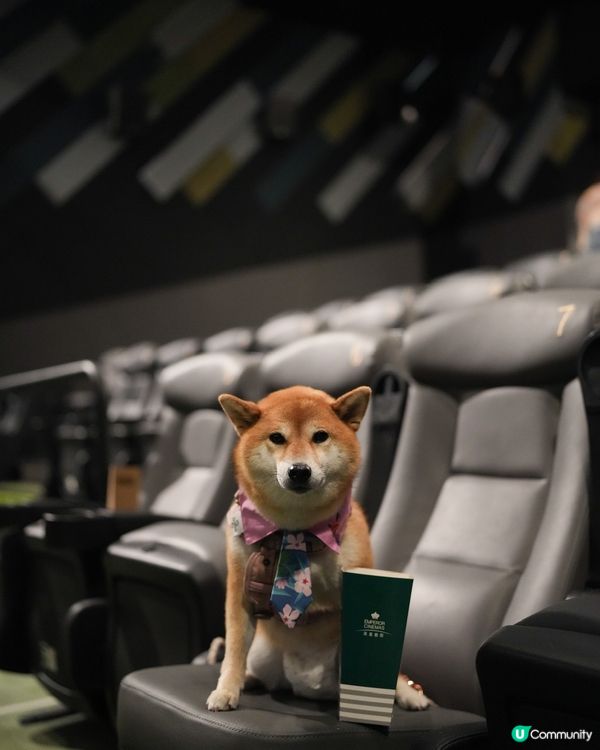 一齊入戲院睇戲成就解鎖🌟～