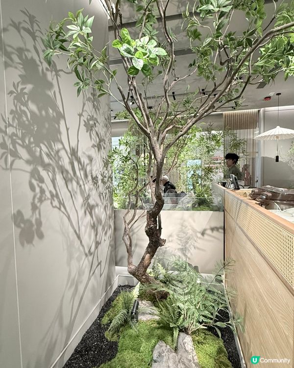 奧海城田園風打卡高質餐廳！🌿💰