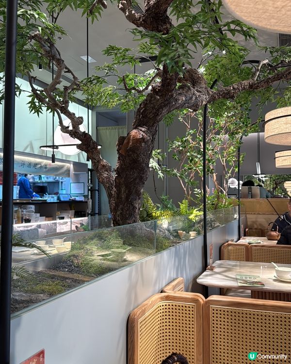 奧海城田園風打卡高質餐廳！🌿💰