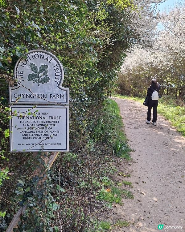 《光影誌》29｜漫步絕美白崖的一日純淨之旅