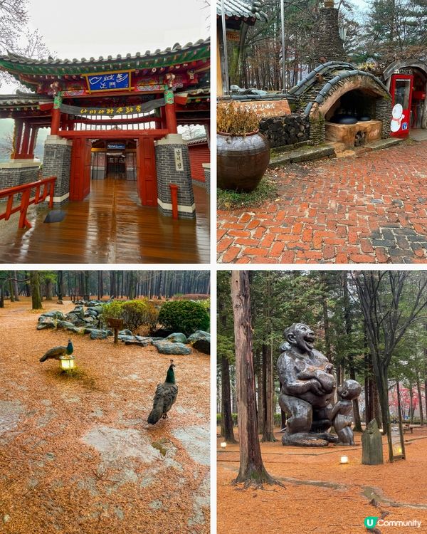 南怡島雨中驚喜！☔️🐰