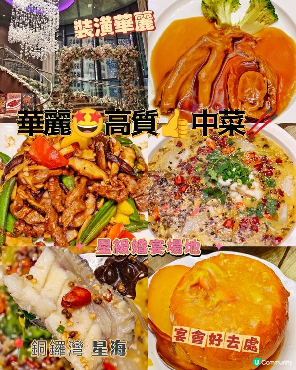 華麗🤩高質👍中菜🥢
