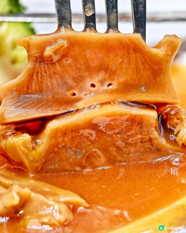 華麗🤩高質👍中菜🥢
