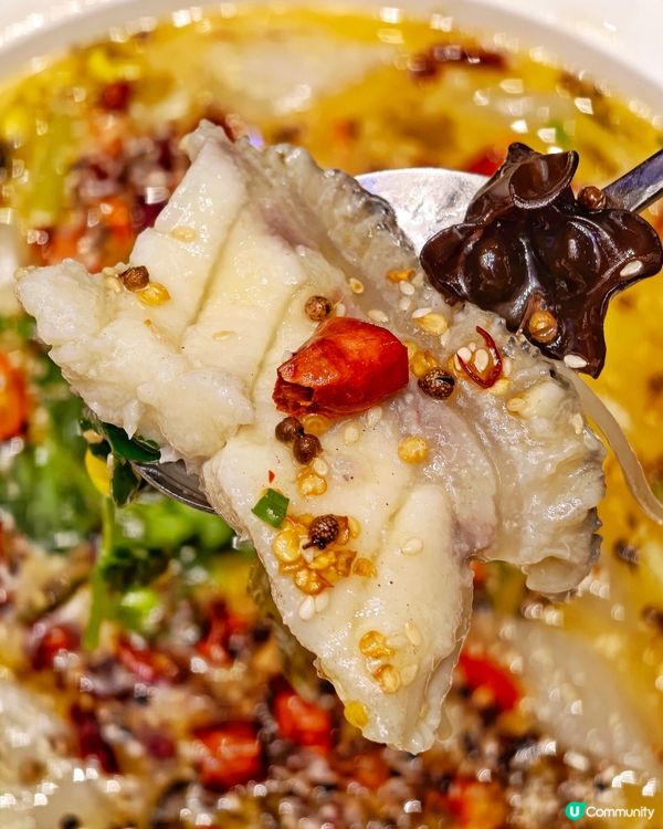 華麗🤩高質👍中菜🥢
