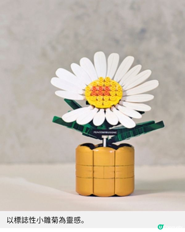 玩具"反"斗城獨家預購 G-Dragon 聯乘積木禮盒型爆登