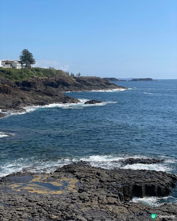  Kiama|海風､巨浪與慢生活的完美組合 ☀️