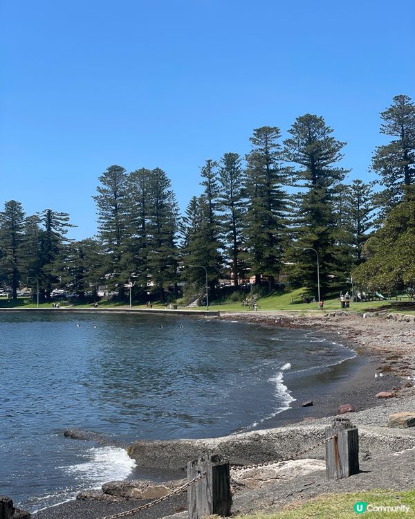  Kiama|海風､巨浪與慢生活的完美組合 ☀️