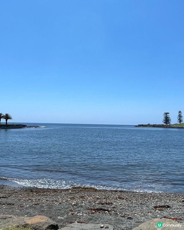  Kiama|海風､巨浪與慢生活的完美組合 ☀️