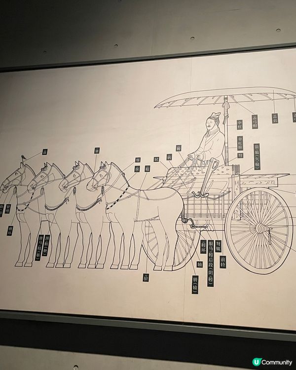 銅車馬震撼！秦皇威儀再現！🤩