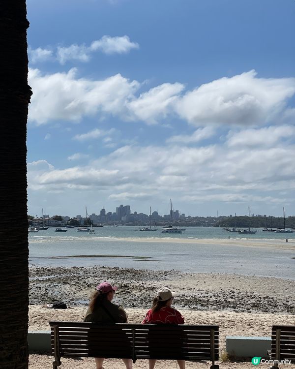彩色小巷咖啡☕️夏日插畫感！