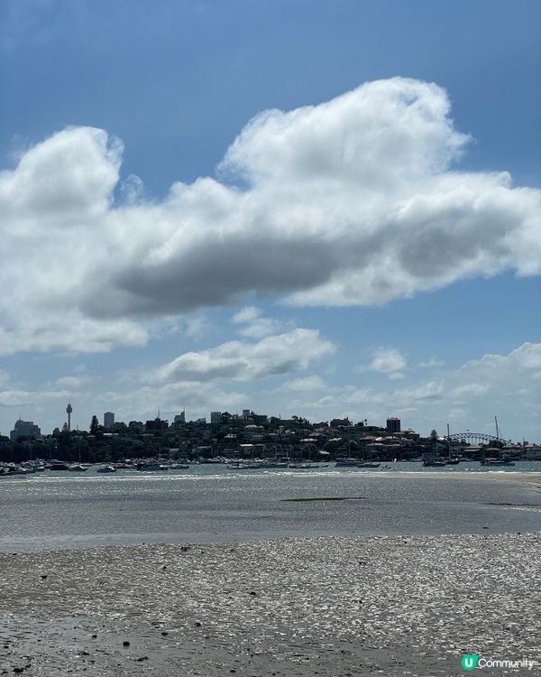 彩色小巷咖啡☕️夏日插畫感！