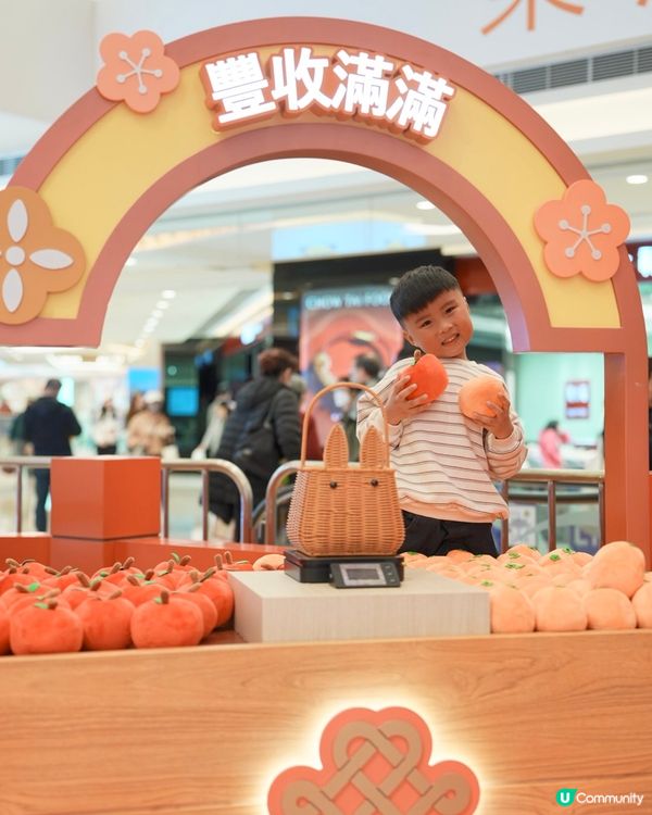 今個新年,一齊化身都市小農夫🧑‍🌾