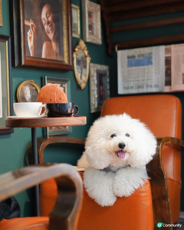 Cool Cool 嘅咖啡店☕️ 
