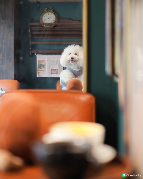 Cool Cool 嘅咖啡店☕️ 