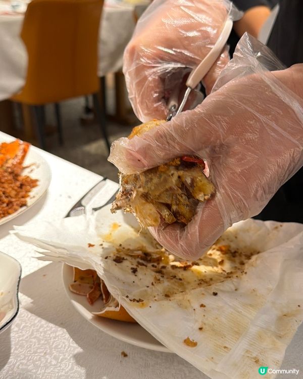 第一次食巨蟹🦀剝蟹好正！