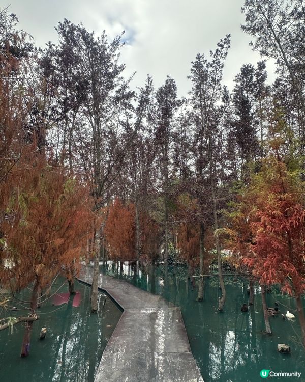 台中