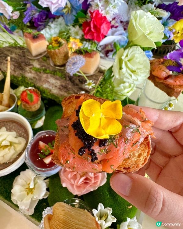 珠海麗莎花園☕️花園下午茶📸仙氣爆棚