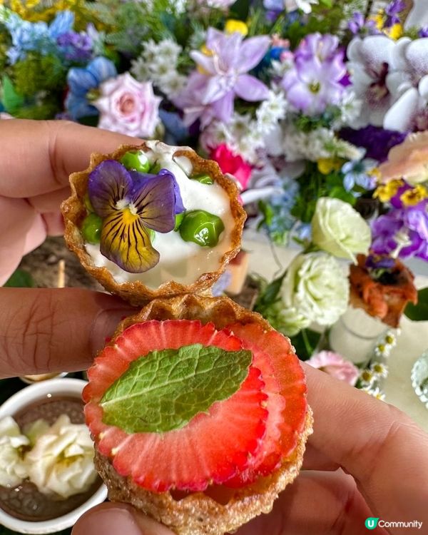 珠海麗莎花園☕️花園下午茶📸仙氣爆棚