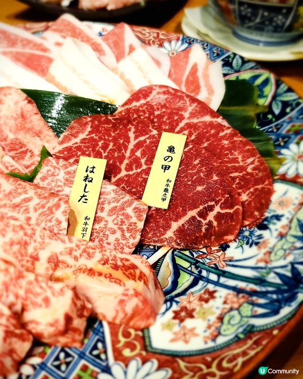 😻出色過江龍日式烤肉店😻