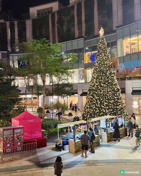 荃灣必去巨型打卡聖誕樹 🎄