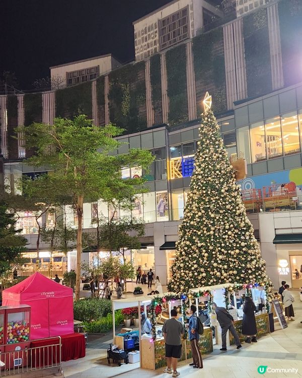 荃灣必去巨型打卡聖誕樹 🎄