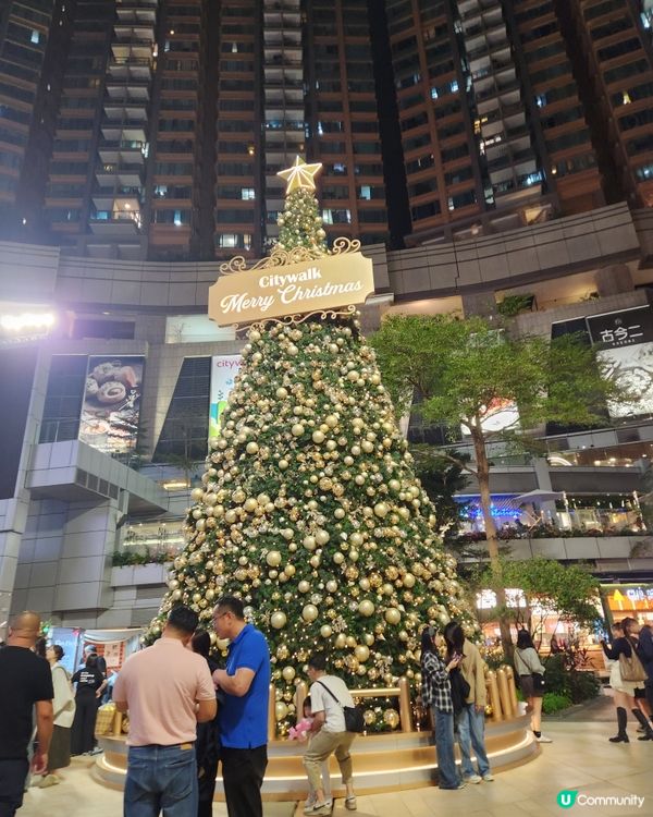 荃灣必去巨型打卡聖誕樹 🎄