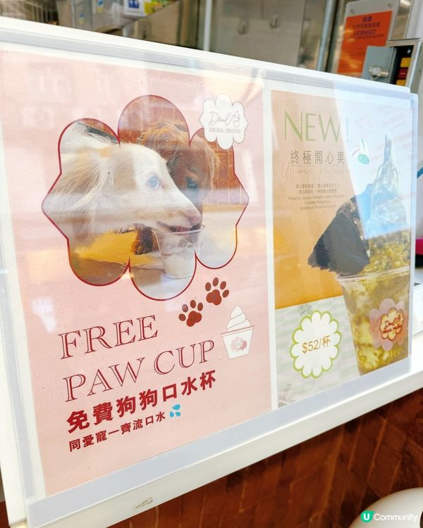 罪惡感零！乳酪雪糕🍦😋