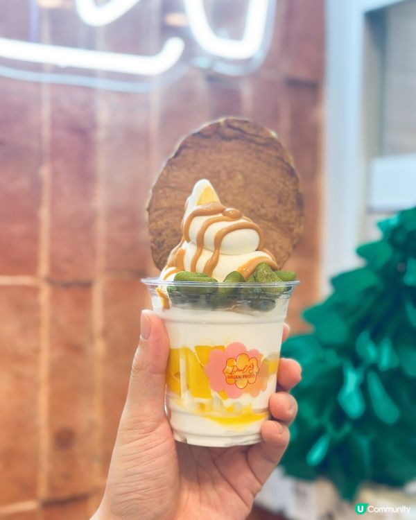 好耐無食乳酪雪糕！🍦😋