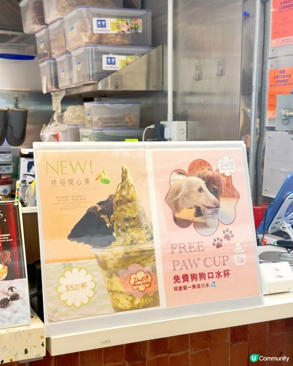 好耐無食乳酪雪糕！🍦😋