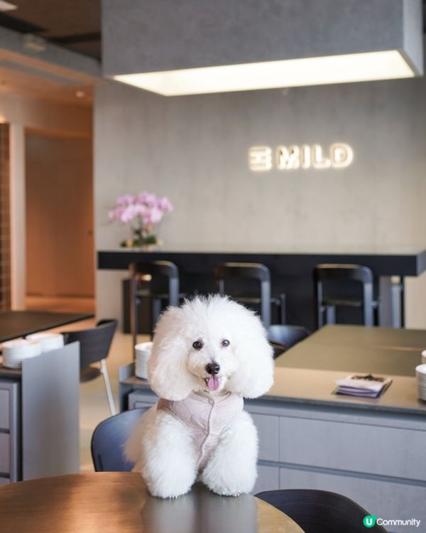 世貿空中花園新餐廳🐶☕️