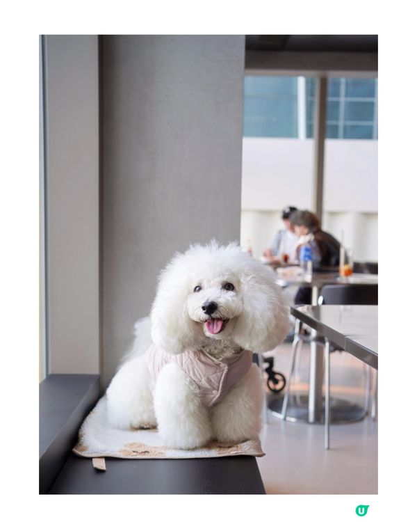 世貿空中花園新餐廳🐶☕️