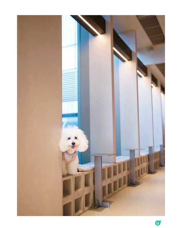 世貿空中花園新餐廳🐶☕️