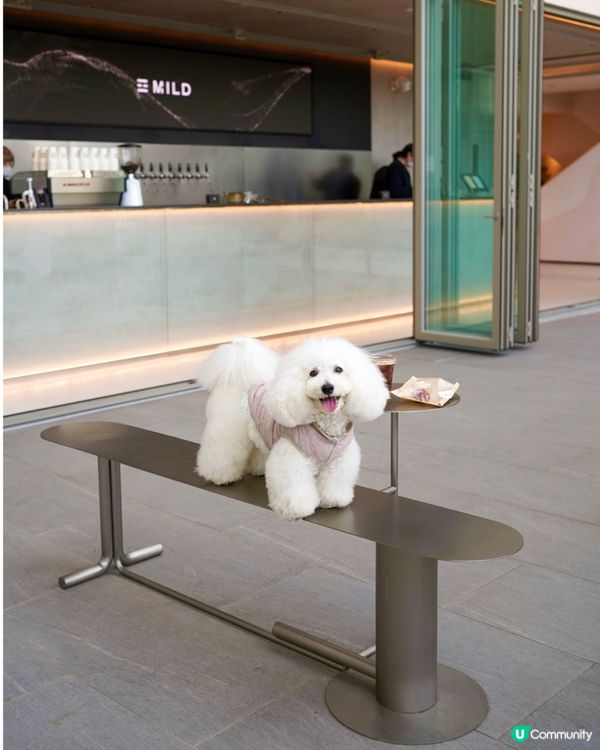 世貿空中花園新餐廳🐶☕️