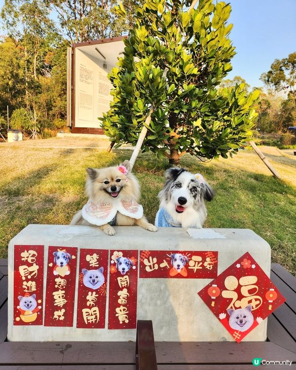 獨家設計專屬揮春！🐶👶🐶新年必備！🧧✨