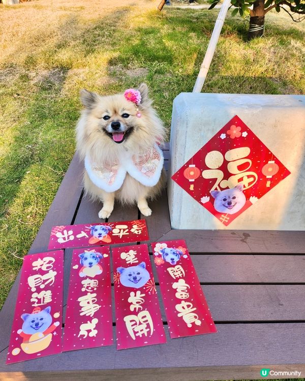 獨家設計專屬揮春！🐶👶🐶新年必備！🧧✨