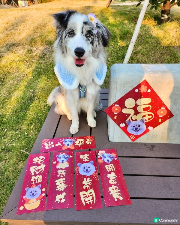 獨家設計專屬揮春！🐶👶🐶新年必備！🧧✨