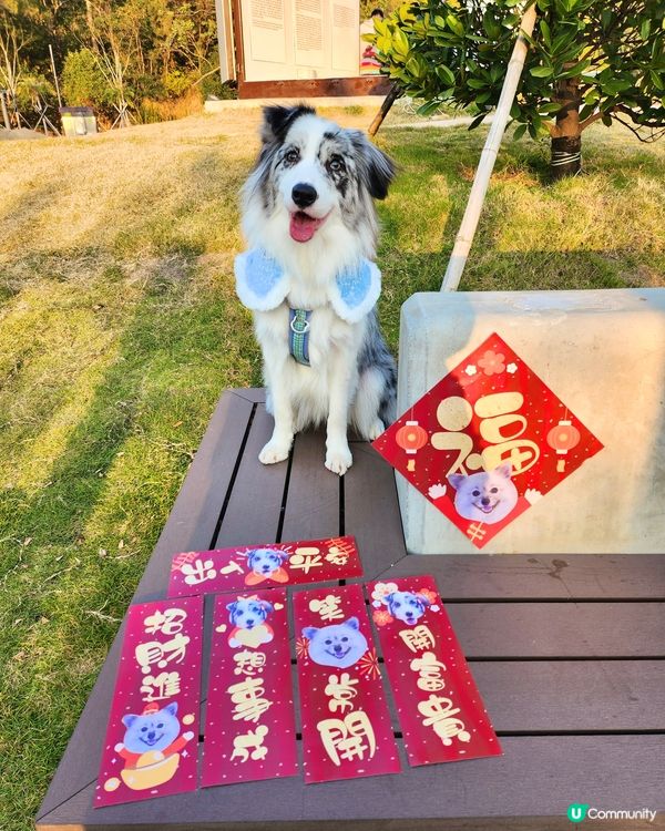 獨家設計專屬揮春！🐶👶🐶新年必備！🧧✨