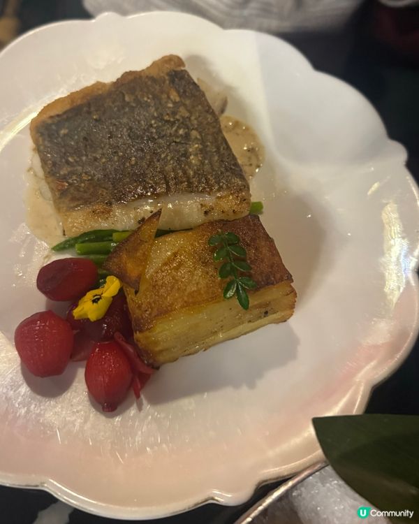 蘭桂坊任食生蠔放題！🇫🇷😋