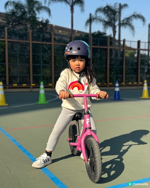 馬灣挪亞方舟主題好多車車玩