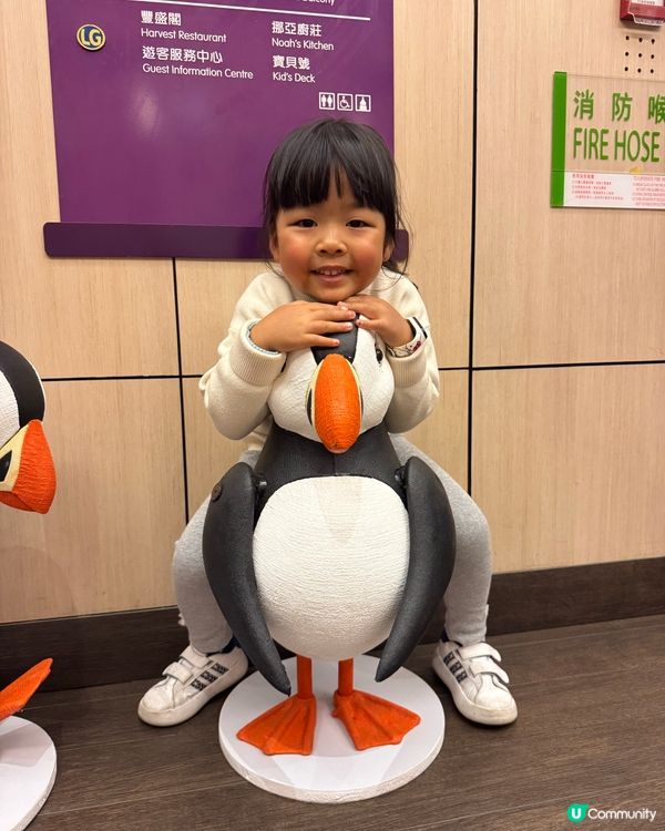 馬灣挪亞方舟主題好多車車玩