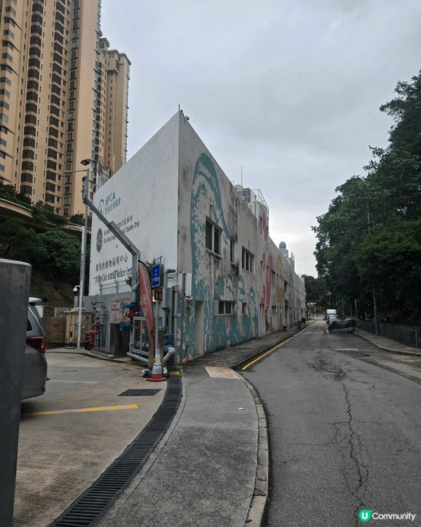 聖誕日，陽光照在狗公園的草地上。