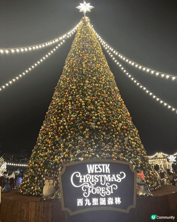 今次聖誕去咗唔同地方打卡！個個都好有特色同好靚！全部都好有聖...