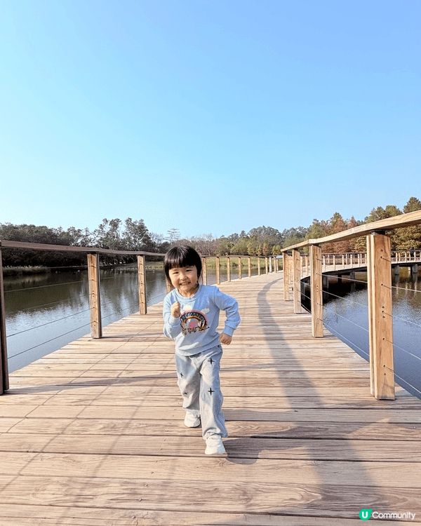 聖誕節帶住三個小朋友去香港濕地公園