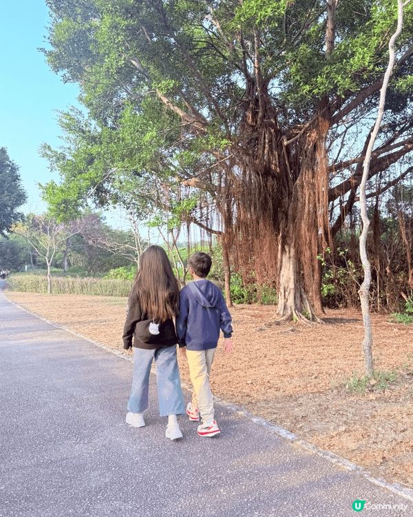 聖誕節帶住三個小朋友去香港濕地公園