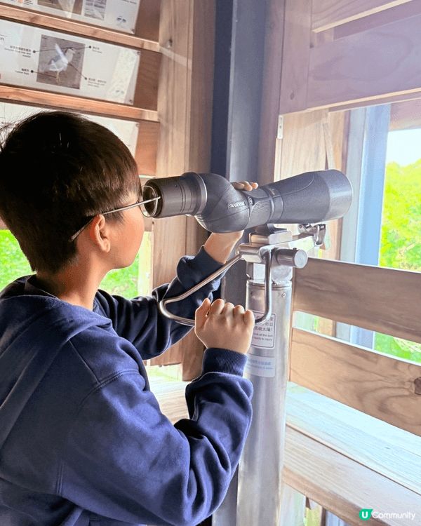 聖誕節帶住三個小朋友去香港濕地公園