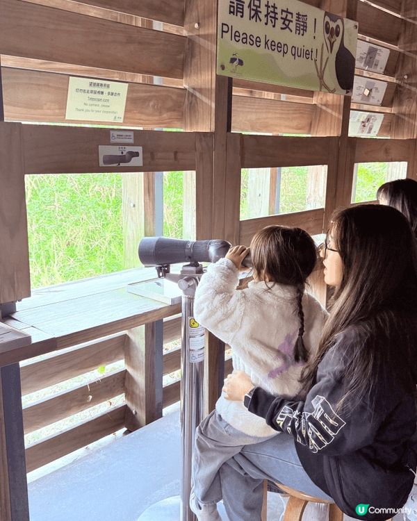 聖誕節帶住三個小朋友去香港濕地公園
