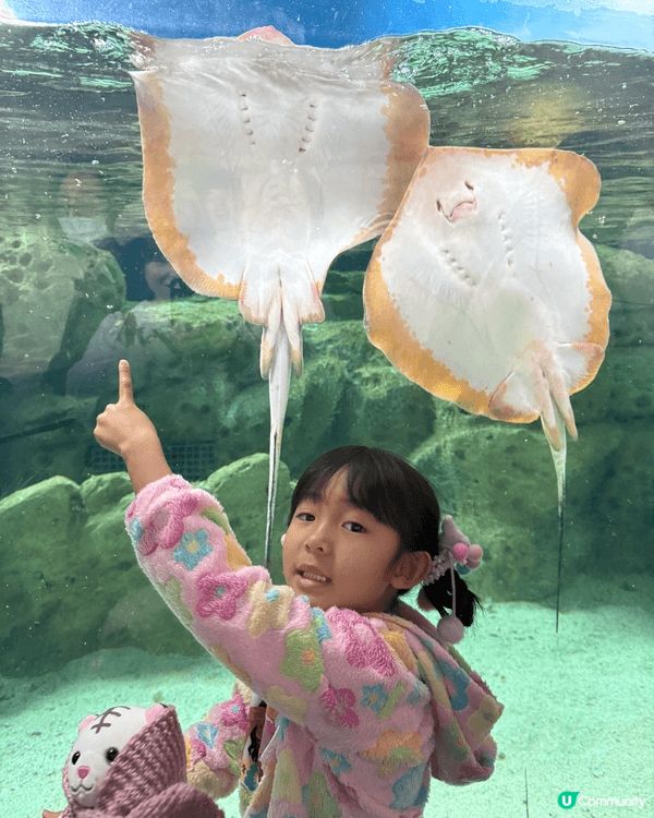 聖誕珠海長隆三天遊，大小朋友也盡興而歸