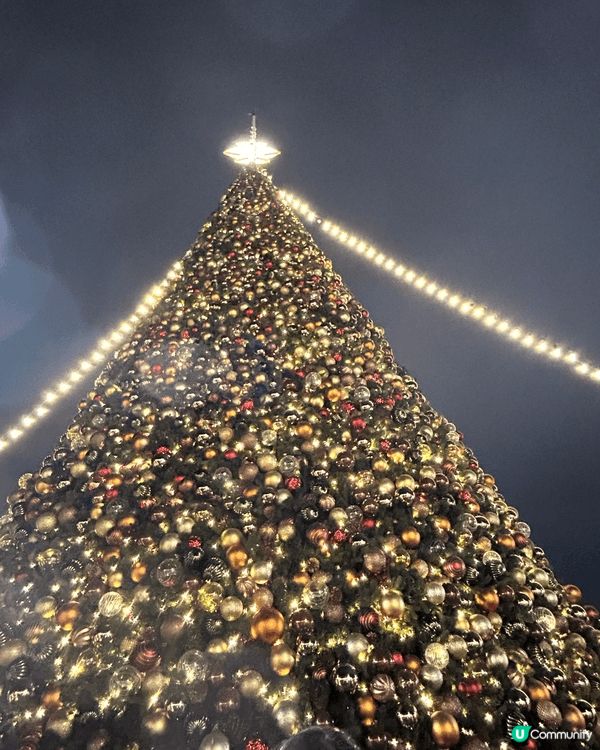 聖誕節正日，去了西九龍影靚靚聖誕樹，當日很大風，人山人海，但...