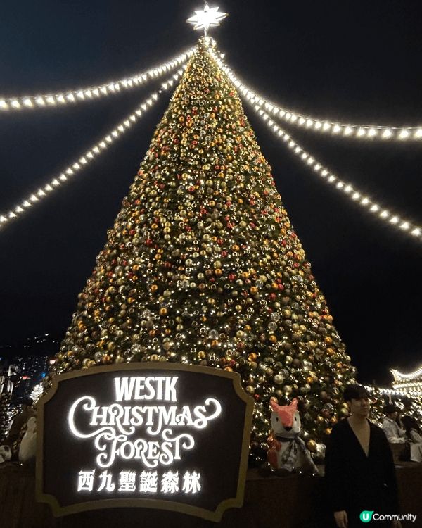 聖誕節正日，去了西九龍影靚靚聖誕樹，當日很大風，人山人海，但...