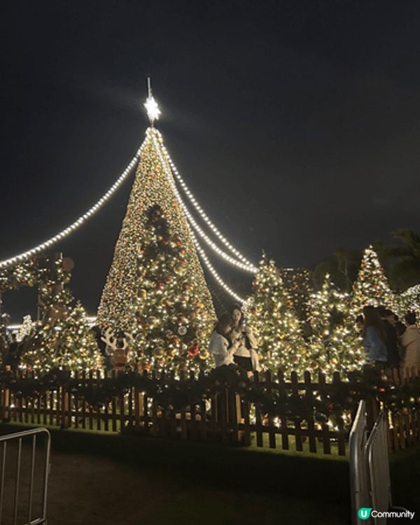 聖誕節正日，去了西九龍影靚靚聖誕樹，當日很大風，人山人海，但...